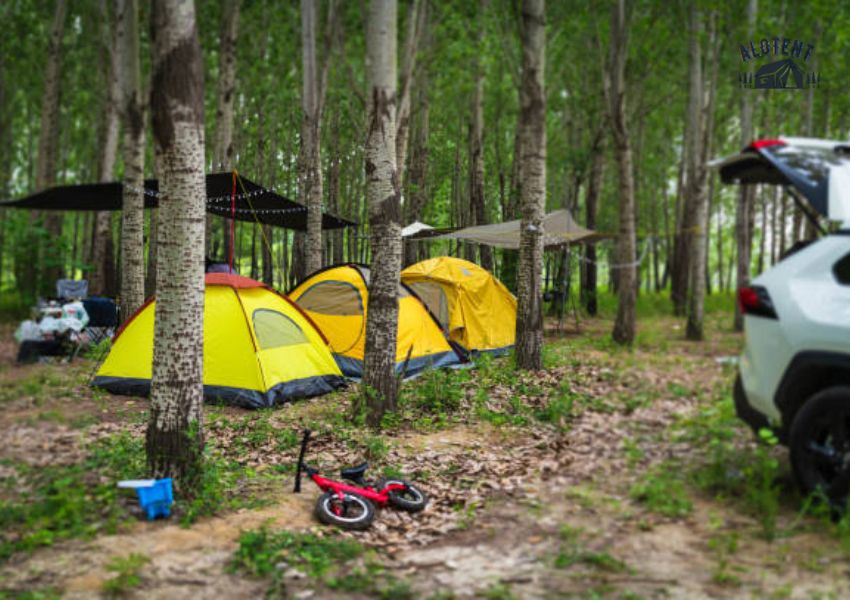Cắm trại ở Bình Phước