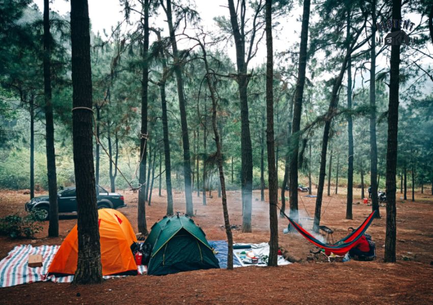 Cắm trại tại rừng thông Đà Lạt