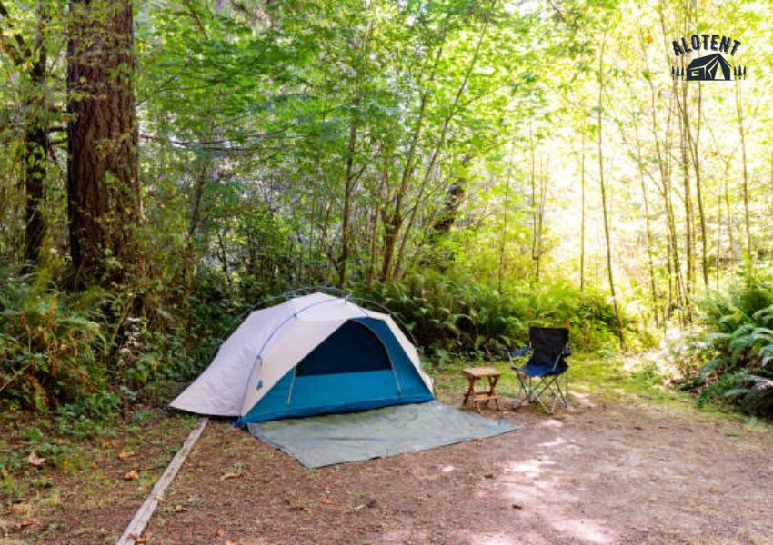 Cắm trại trong rừng vào mùa hè