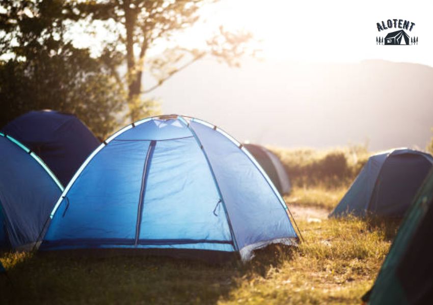 Cho thuê lều cắm trại giá rẻ tại Alotent