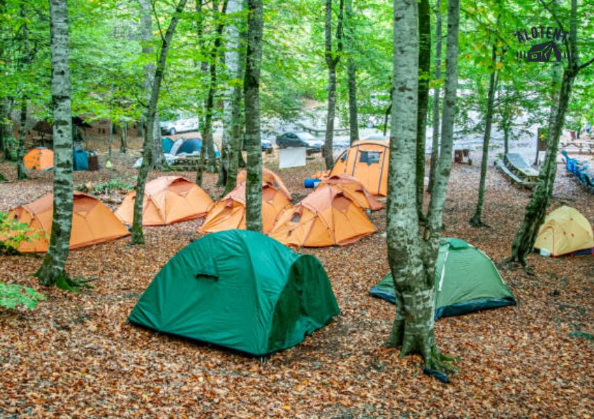 Cắm trại trong vườn quốc gia