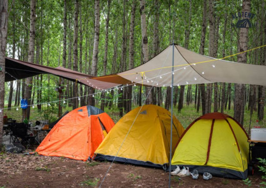 Thuê lều cắm trại quận 12