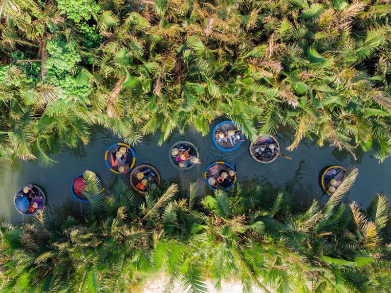 Kinh nghiệm du lịch Rừng Dừa Bảy Mẫu